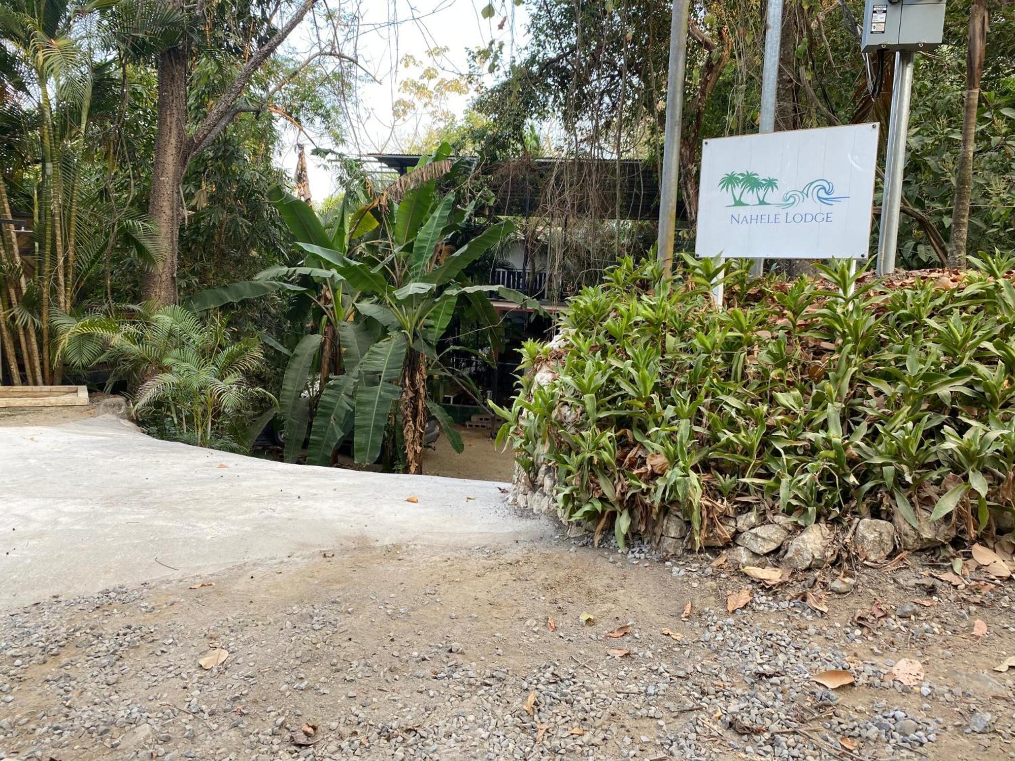 Nahele Lodge Playa Santa Teresa  エクステリア 写真