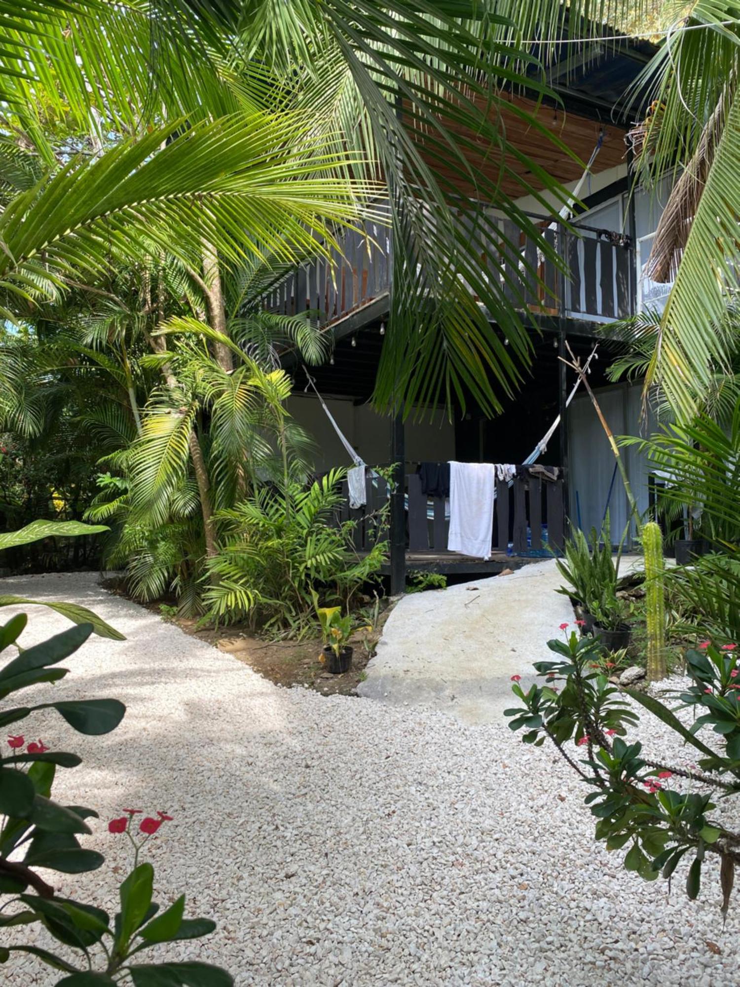 Nahele Lodge Playa Santa Teresa  エクステリア 写真